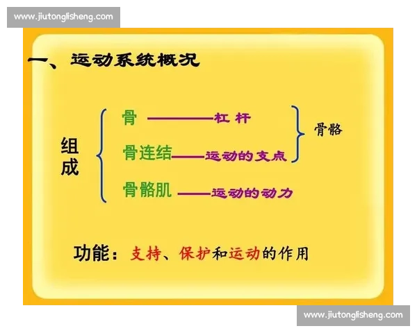 体育科学视角下运动表现优化与训练方案系统研究 体育科学视角下运动表现优化与训练方案系统研究